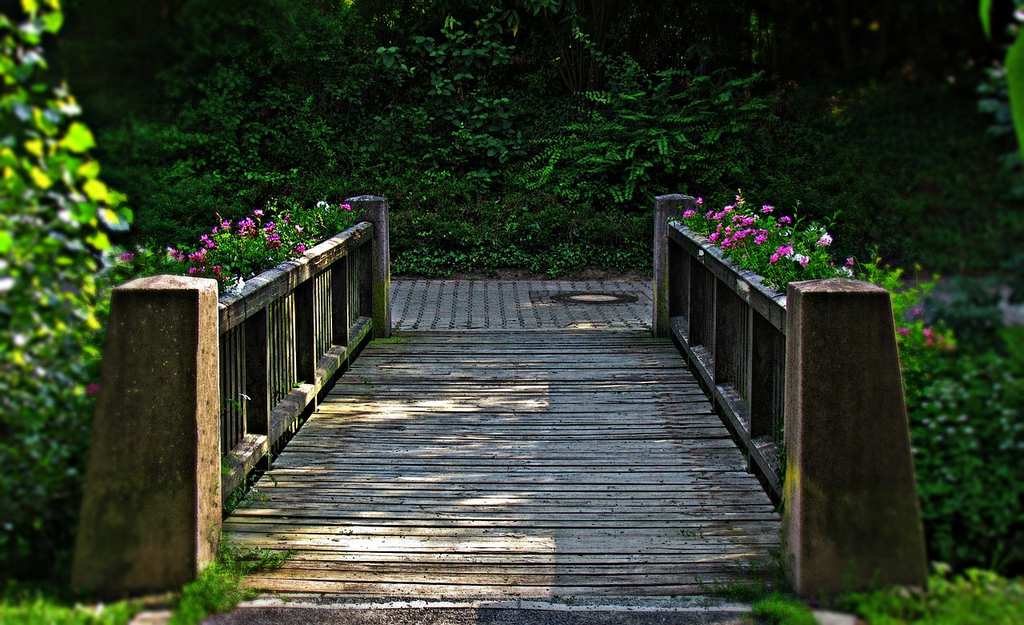 bridge-2694678_1280