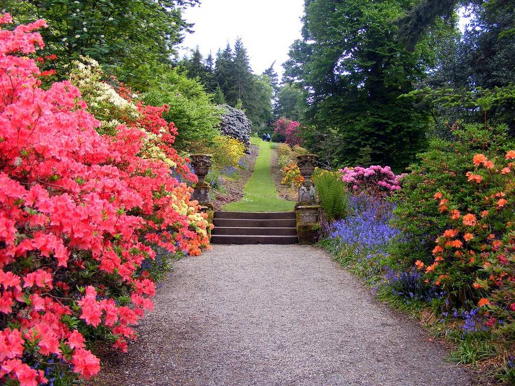 garden-470704_1280