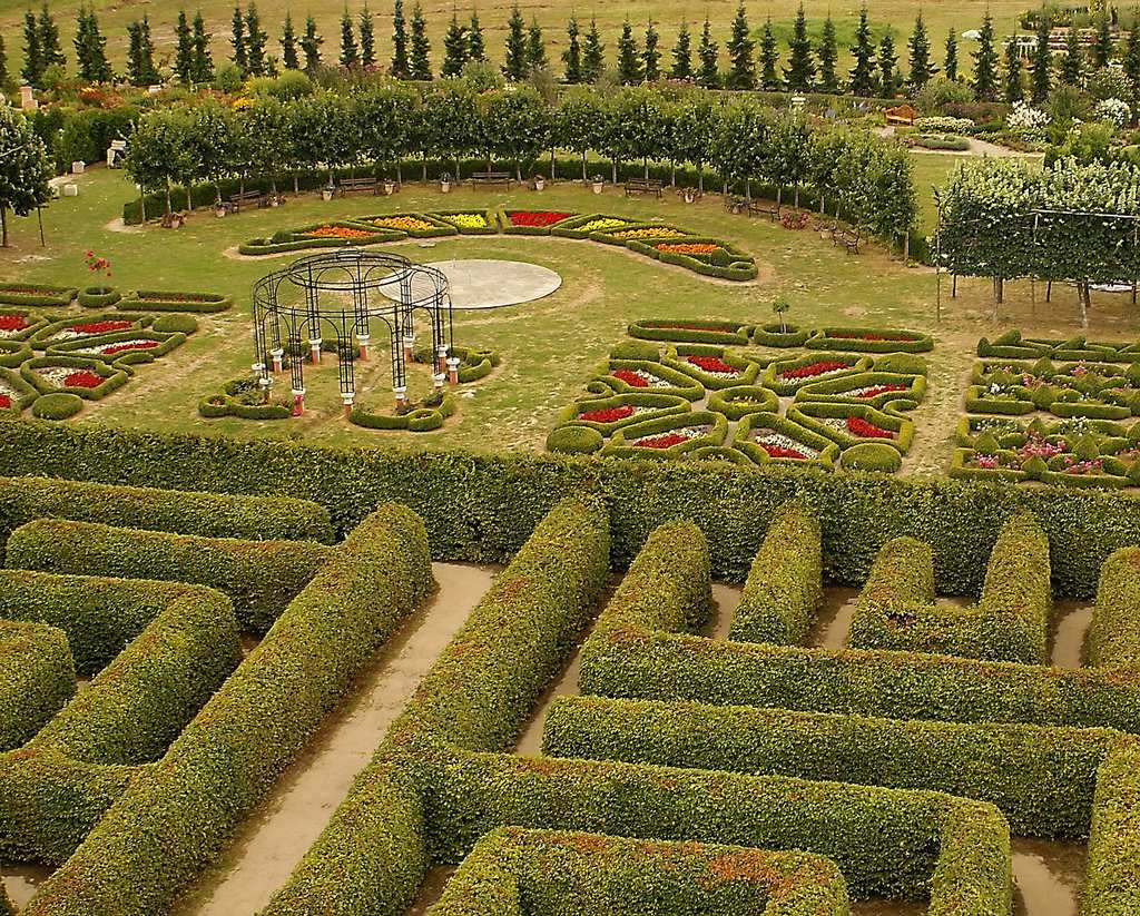 hedge-922547_1280