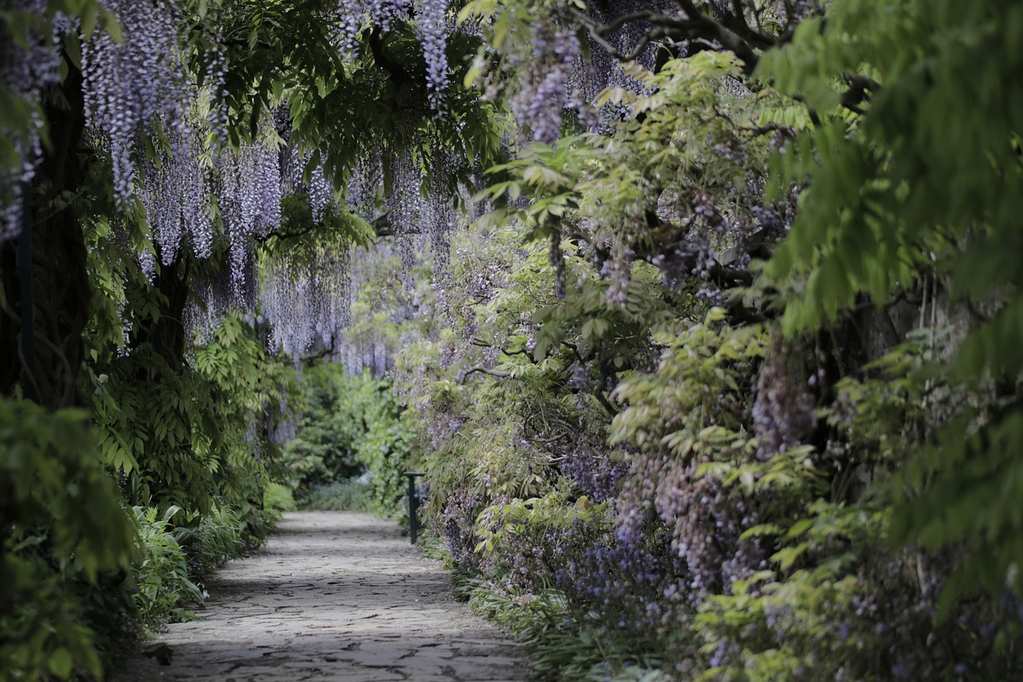 path-4284677_1280